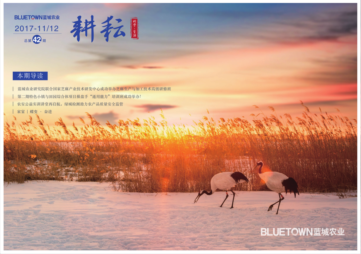 至尊国际 – 至尊服务,至尊享受