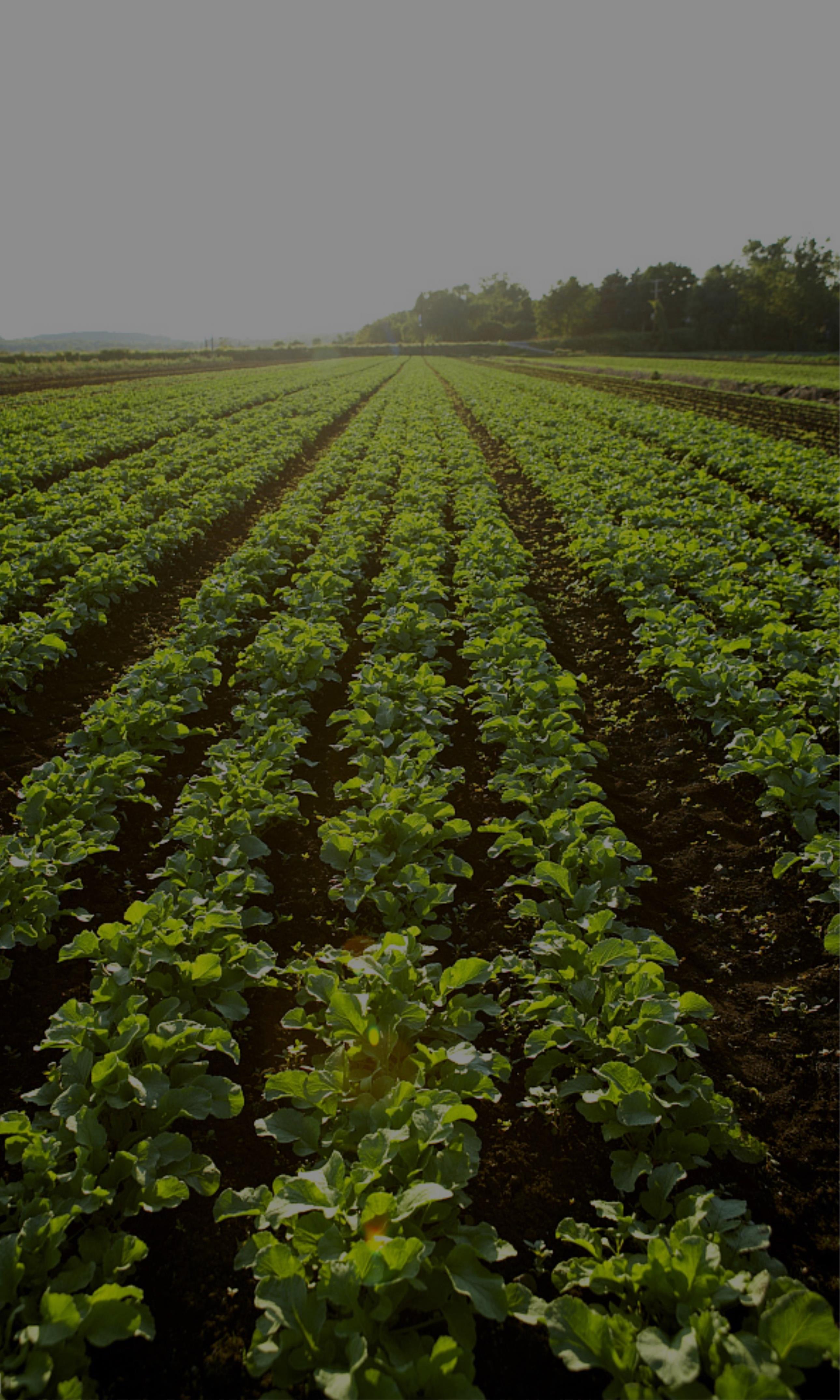 201903051447025c7e1b667fdfd