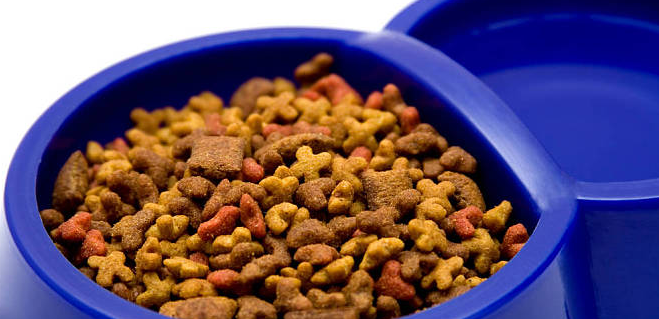 201903211502075c9336efa2ce4