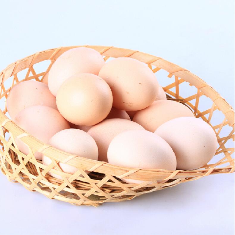 201911181337435dd22e274c646