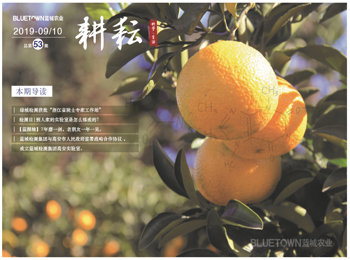 至尊国际 – 至尊服务,至尊享受