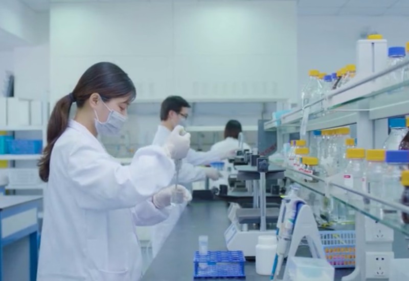 202006111337545ee1c33266b01