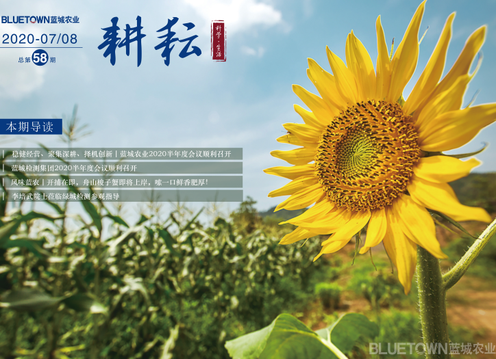 至尊国际 – 至尊服务,至尊享受