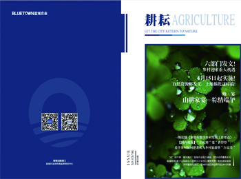 至尊国际 – 至尊服务,至尊享受