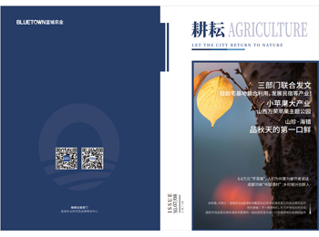 至尊国际 – 至尊服务,至尊享受