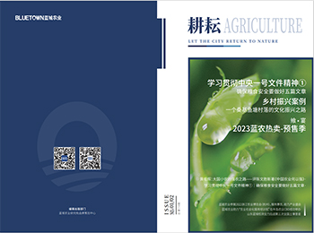 至尊国际 – 至尊服务,至尊享受